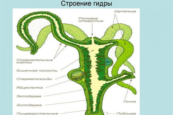 Ошибка на кракене