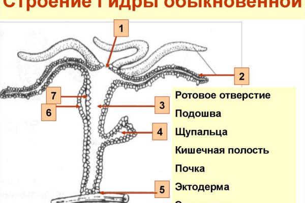 Кракен актуальное зеркало