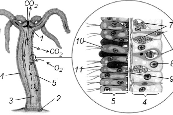 Kra34.cc